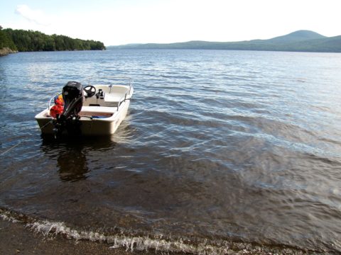 2021 Boston Whaler 110 Sport