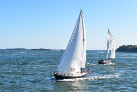 2019 Beneteau Oceanis 38.1